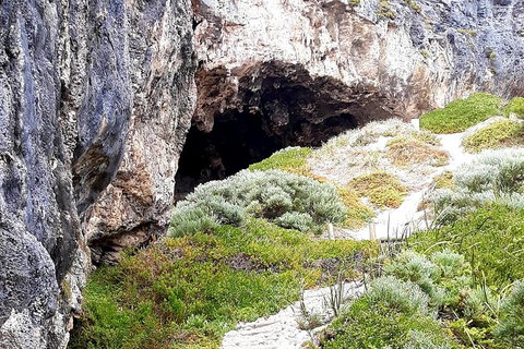 Explore Margaret Rivers\' National Parks On A Guided Cape To Cape Track Walk - Tourism Adelaide 8