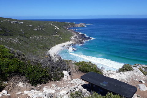 Explore Margaret Rivers\' National Parks On A Guided Cape To Cape Track Walk - Tourism Adelaide 4