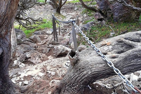 Explore Margaret Rivers\' National Parks On A Guided Cape To Cape Track Walk - Tourism Adelaide 1