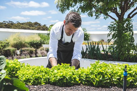 Voyager Estate: Voyager Unearthed & Cheeseboard - Tourism Adelaide 3