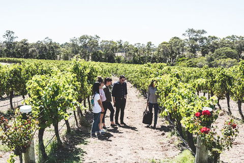 Voyager Estate: Voyager Unearthed & Cheeseboard - Tourism Adelaide 1