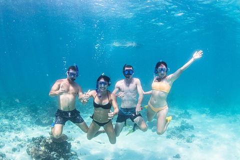 Full-Day Whale Sharks Swimming Experience On Ningaloo Reef - Tourism Adelaide 5