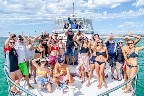 Full-Day Whale Sharks Swimming Experience On Ningaloo Reef - Tourism Adelaide 1