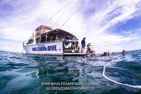 Full-Day Whale Sharks Swimming Experience On Ningaloo Reef - Tourism Adelaide 13