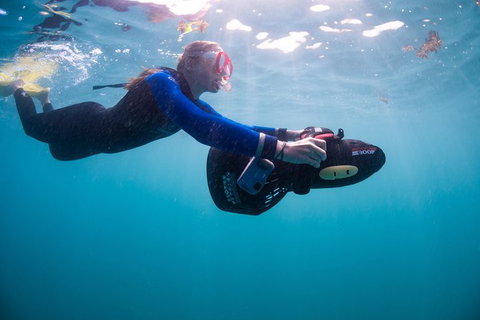 Full-Day Whale Sharks Swimming Experience On Ningaloo Reef - Tourism Adelaide 4