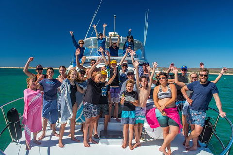 Full-Day Whale Sharks Swimming Experience On Ningaloo Reef - Tourism Adelaide 15