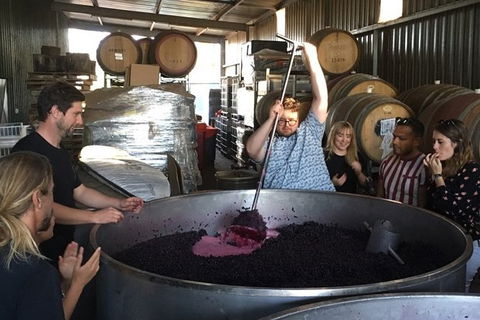 Margaret River Beer & Wine Adventure (departs Margaret River) - Tourism Adelaide 10
