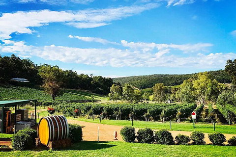 Bickley Valley Wine & Cider Tour - Premium Small Group Tour - Tourism Adelaide 0