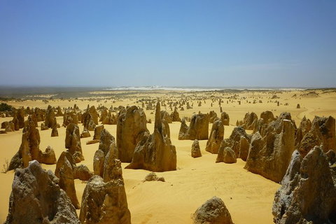 Pinnacles Desert Private Tour - Tourism Adelaide 5