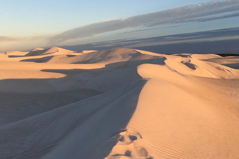 Pinnacles Desert Private Tour - Tourism Adelaide 2