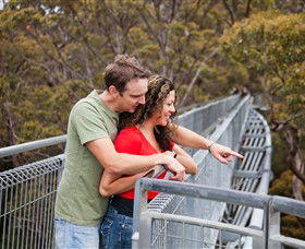 Valley Of The Giants Tree Top Walk - Tourism Adelaide 0