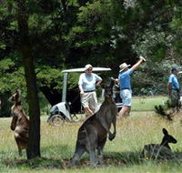Glen Innes Golf Club - Tourism Adelaide