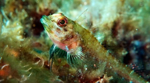 Busselton Jetty & Underwater Observatory Tour - Tourism Adelaide 7