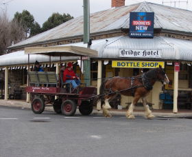 Ashby Island NSW Tourism Adelaide