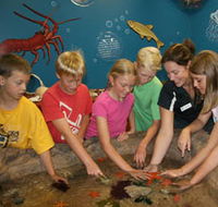 Naturaliste Marine Discovery Centre - Tourism Adelaide