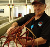 Lobster Shack - Tourism Adelaide