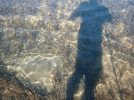 Jervis Bay Stand Up Paddle - Tourism Adelaide 3