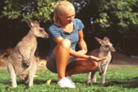 Jungle Tours And Trekking - Tourism Adelaide 1