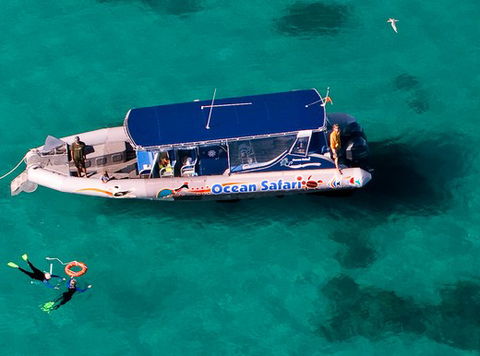 Jungle Tours And Trekking - Tourism Adelaide 5