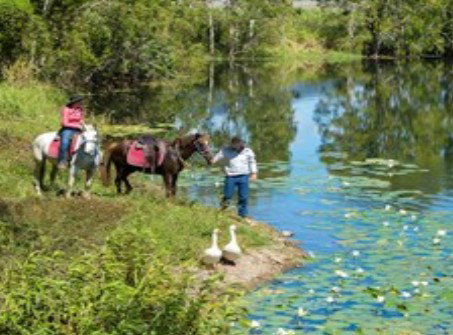 Blazing Saddles Adventures - Tourism Adelaide 2