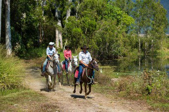 Blazing Saddles Adventures - Tourism Adelaide 4