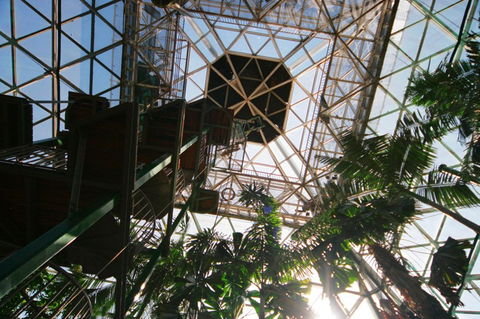 Cairns ZOOm And Wildlife Dome - Tourism Adelaide 1