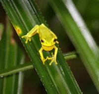 Daintree River Cruise Centre - Tourism Adelaide