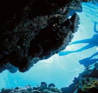 Deep Sea Divers Den - Tourism Adelaide