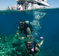 Down Under Cruise and Dive - Tourism Adelaide