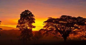 Ingan Tours - Spirit Of The Rainforest Tour - Tourism Adelaide 3