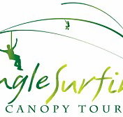 Jungle Surfing Canopy Tours and Jungle Adventures Nightwalks - Tourism Adelaide