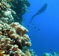 Reef Magic Cruises - Tourism Adelaide