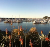 Mantaray Charters - Tourism Adelaide