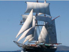 Adventure Catamarans Dive And Sail - Tourism Adelaide 0