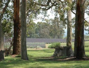 Amosfield QLD Tourism Adelaide