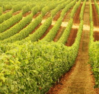 Wignalls Winery - Tourism Adelaide