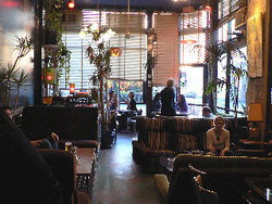 Blackcat - Tourism Adelaide 1