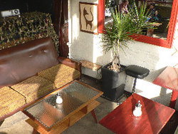 Blackcat - Tourism Adelaide 2