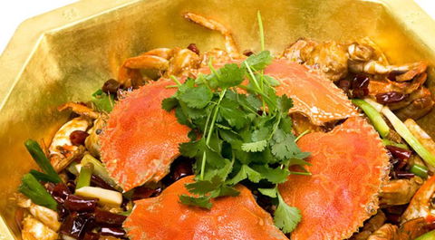 Red Chilli Sichuan Restaurant - Tourism Adelaide 1