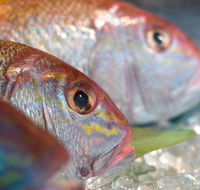 Coro Hotel - Lure Seafood Restaurant - Tourism Adelaide