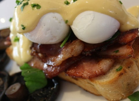 Raphael's On Brighton - Tourism Adelaide 2