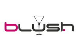 Blush Night Club - Tourism Adelaide 0