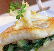 Brighton Metro Hotel - Tourism Adelaide