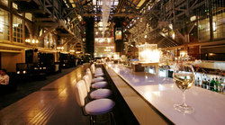 Water Bar Sydney - Tourism Adelaide 3