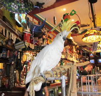 A Friend In Hand - Tourism Adelaide