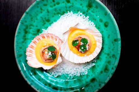 Sarti Restaurant - Tourism Adelaide 5