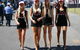 Players Showgirls - thumb 1