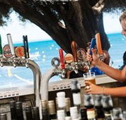 Quokka Arms - Tourism Adelaide