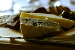 Briars - Tourism Adelaide 1