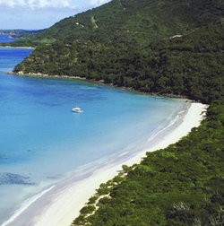 Palm Cove Tavern - Tourism Adelaide 1